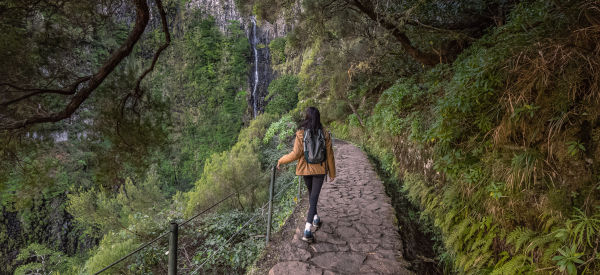Madeira lockert Corona-Maßnahmen: Neue Regeln für Reisende